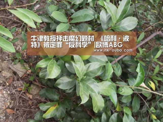 牛津教授抨击魔幻题材 《哈利·波特》被定罪“反科学”|欧博ABG