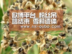 欧博平台_粉丝吊唁结束 雪莉遗体今日进行非公开出殡(图2) 欧博官网