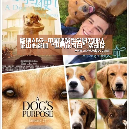 欧博ABG-中国建筑科学研究院认证中心参加“世界认可日”活动及住房城乡建设行业认证认可工作座谈会